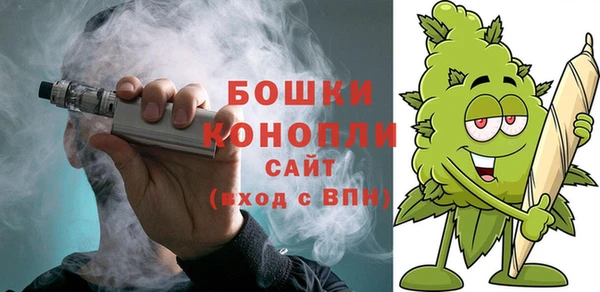 ГАЛЛЮЦИНОГЕННЫЕ ГРИБЫ Белоозёрский